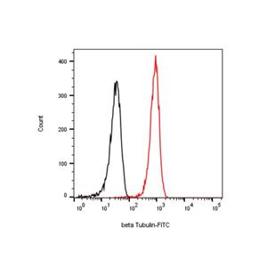 beta Tubulin Mouse mAb,beta Tubulin Mouse mAb