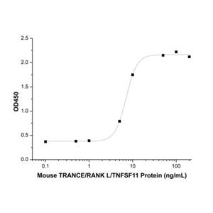 Recombinant Mouse TRANCE/RANKL/TNFSF11 Protein,Recombinant Mouse TRANCE/RANKL/TNFSF11 Protein