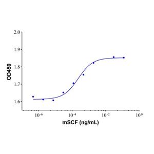 aladdin 阿拉丁 rp154630 Recombinant Mouse SCF Protein Carrier Free, >97% (SDS-PAGE,HPLC), Active, E. coli, No tag, 26-190 aa