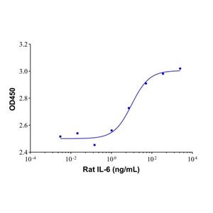 Recombinant Rat IL-6 Protein,Recombinant Rat IL-6 Protein