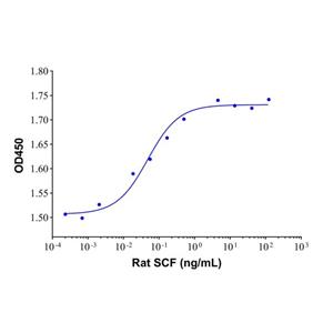 aladdin 阿拉丁 rp155217 Recombinant Rat SCF Protein Animal Free, >95% (SDS-PAGE), Active, E.coli, His-tag, 26-189 aa