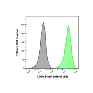 Recombinant CD20 Antibody (Biotin),Recombinant CD20 Antibody (Biotin)