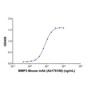 MMP3 Mouse mAb,MMP3 Mouse mAb