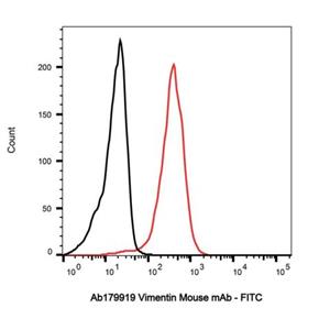 Vimentin Mouse mAb,Vimentin Mouse mAb