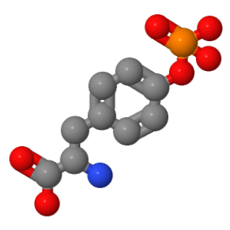 L-磷酸酪氨酸,O-PHOSPHO-L-TYROSINE