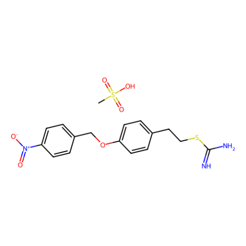 S-[4-[(4-硝基苄基)氧代]苯乙基]异硫脲甲磺酸盐,S-[4-[(4-Nitrobenzyl)oxy]phenethyl]isothiourea Methanesulfonate