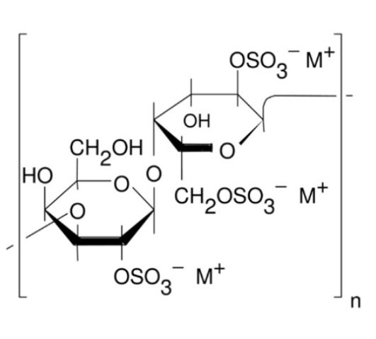 λ-角叉膠,λ-Carrageenan