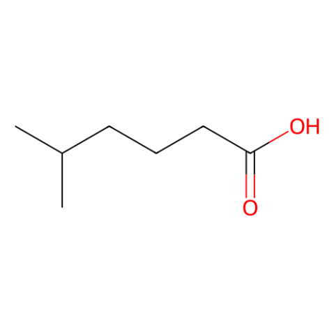 5-Methylhexanoic acid,5-Methylhexanoic acid