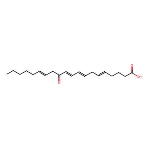 12-OxoETE,12-OxoETE