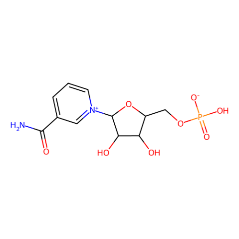 β-Nicotinamide Mononucleotide,β-Nicotinamide Mononucleotide