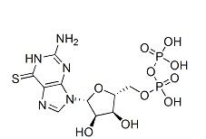 6-硫代鸟苷5'-二磷酸酯 三乙胺盐,Thioguanosine Diphosphate Triethylamine