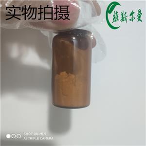 布雷非德菌素 A,Brefeldin A