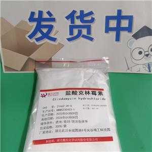 盐酸克林霉素,Clindamycin Hcl