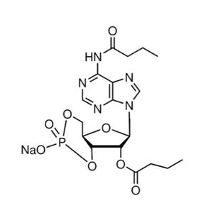 N6,2′-O-二丁酰基腺苷3′,5′-环磷酸 钠盐,N6,2′-O-Dibutyryladenosine 3′,5′ -cyclic monophosphate sodium salt