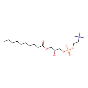 1-癸酰基-2-羟基-sn-甘油-3-磷酸胆碱,1-decanoyl-2-hydroxy-sn-glycero-3-phosphocholine