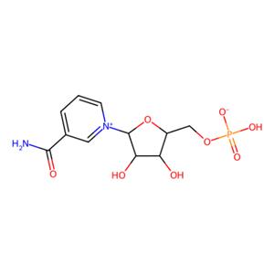 β-Nicotinamide Mononucleotide,β-Nicotinamide Mononucleotide