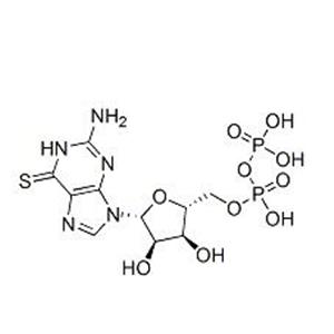 aladdin 阿拉丁 T346403 6-硫代鸟苷5'-二磷酸酯 三乙胺盐 16541-19-8 95%