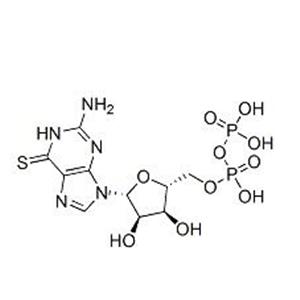 6-硫代鸟苷5