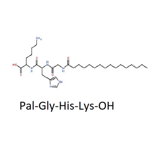 棕榈酰三肽-1,PalMitoyl Tripeptide-1