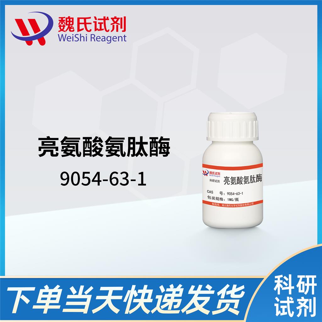 亮氨酸氨基肽酶,Leucine Aminopeptidase (LAP)