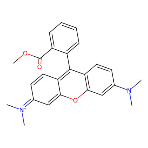 四甲基罗丹明甲酯（TMRM）,Tetramethylrhodamine