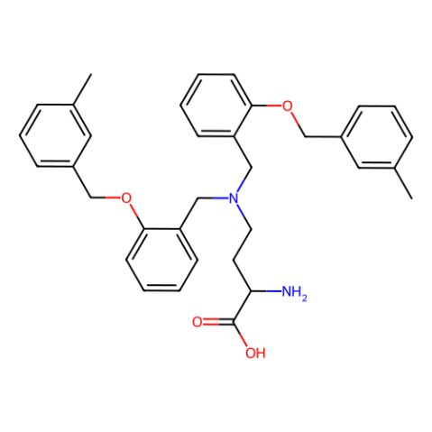 V-9302,竞争性的跨膜谷氨酰胺通量拮抗剂,V-9302