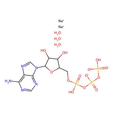 5'-三磷酸腺苷二钠盐 三水合物,Adenosine 5′-triphosphate disodium salt trihydrate