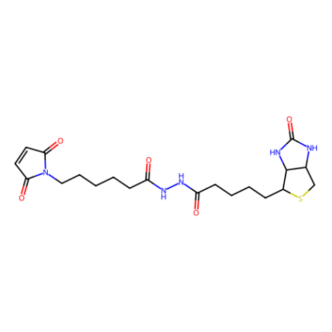 生物素-马来酰亚胺,Biotin-maleimide