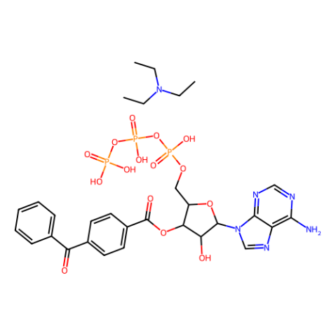 BzATP三乙铵盐,BzATP triethylammonium salt