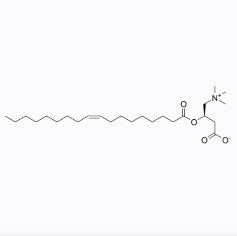 油酰-L-肉堿,Oleoyl-L-carnitine