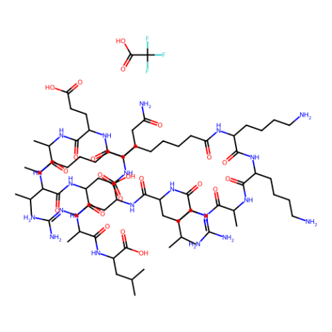 自身肽2相关抑制肽,Autocamtide-2-related inhibitory peptide