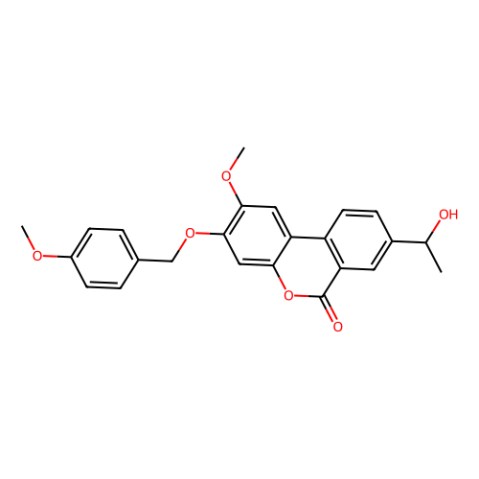 Palomid 529 (P529),Palomid 529 (P529)