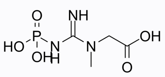 磷酸肌酸,Phosphocreatine