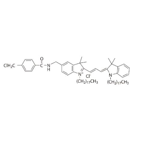 Cell Tracker CM-DiI（細(xì)胞膜橙紅色熒光探針）,Cell tracker cm DiI (cell membrane orange red fluorescent probe)