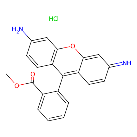 罗丹明123,Rhodamine 123