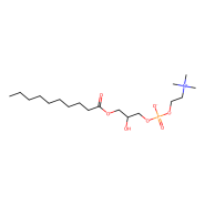 1-癸?；?2-羥基-sn-甘油-3-磷酸膽堿,1-decanoyl-2-hydroxy-sn-glycero-3-phosphocholine