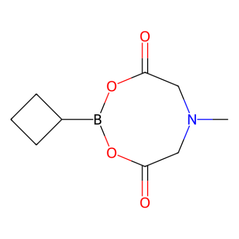 环丁基硼酸 MIDA 酯,Cyclobutylboronic acid MIDA ester