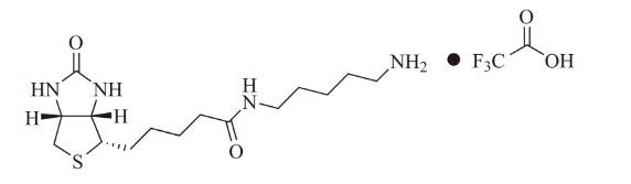 生物素尸胺，三氟乙酸盐,Biotin cadaverine, trifluoroacetate salt