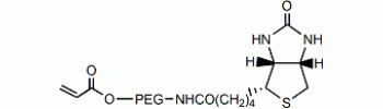 丙烯酸酯 PEG 生物素,Acrylate PEG Biotin