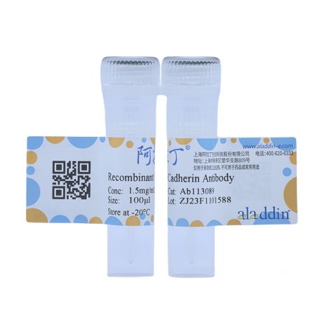 Recombinant LI Cadherin Antibody,Recombinant LI Cadherin Antibody