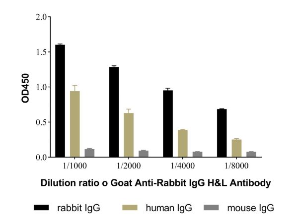 Goat Anti-Rabbit IgG H&L Antibody,Goat Anti-Rabbit IgG H&L Antibody