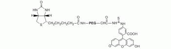 生物素-PEG-FITC,Biotin PEG Fiuorescein, Biotin-PEG-FITC