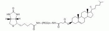 胆固醇 PEG 生物素, CLS-PEG-生物素,Cholesterol PEG Biotin, CLS-PEG-Biotin