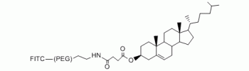 膽固醇 PEG FITC,Cholesterol PEG FITC