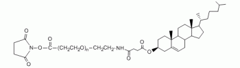 膽固醇 PEG N-羥基琥珀酰亞胺, CLS-PEG-NHS,Cholesterol PEG NHS, CLS-PEG-NHS