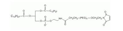 2-豆蔻酸锡酰-3-磷脂乙醇胺 PEG 马来酰亚胺, DMPE-PEG-Mal,DMPE PEG Maleimide, DMPE-PEG-Mal