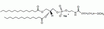 2-豆蔻酸锡酰-3-磷脂乙醇胺 PEG, mPEG-DMPE,DMPE PEG, mPEG-DMPE