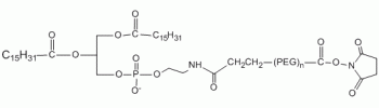 L-磷脂酰乙醇胺 PEG N-羟基琥珀酰亚胺,DPPE PEG NHS
