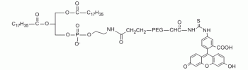 DSPE PEG Fluorescein, DSPE-PEG-FITC,DSPE PEG Fluorescein, DSPE-PEG-FITC