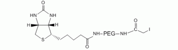 碘代乙酰基 PEG 生物素, IA-PEG-生物素,Iodoacetyl PEG Biotin, IA-PEG-Biotin